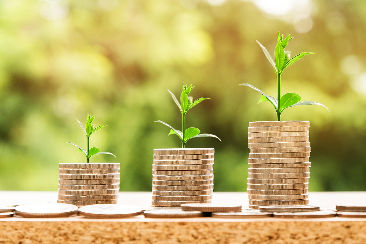 Dinheiro e crescimento financeiro — como calcular ROAS e retorno sobre anúncios